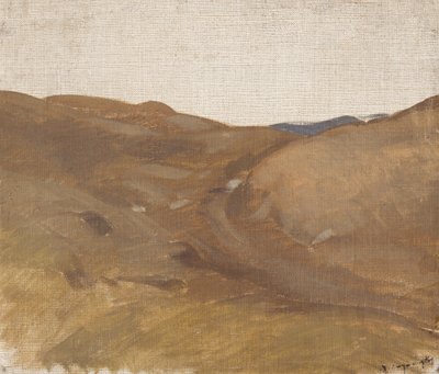 Landschaft mit weißem Himmel von Laszlo Mednyanszky